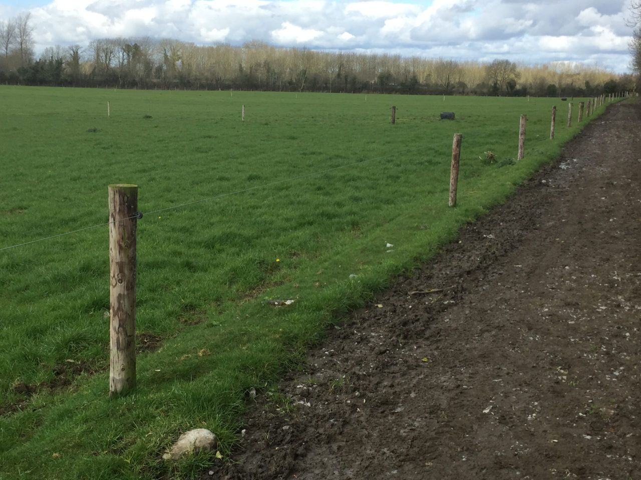 'Paddocks are too small on many Irish dairy farms'