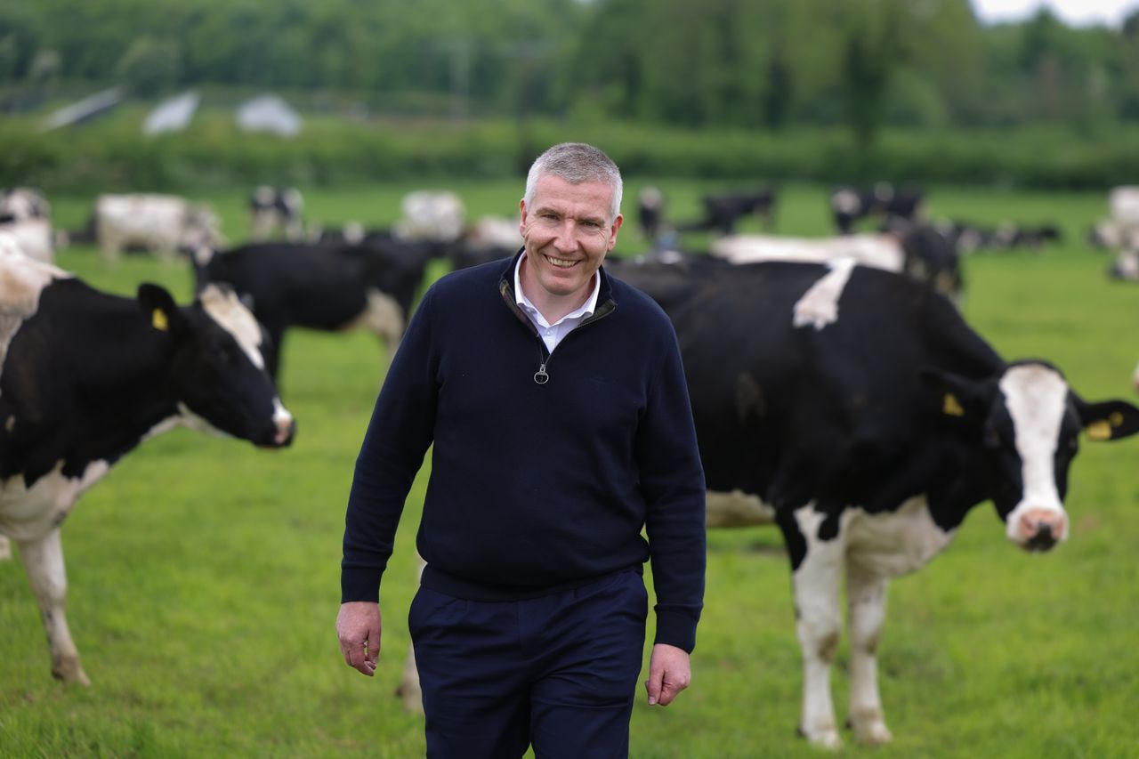 Dairy Council NI: Bovine Genetics Project 'a groundbreaking initiative'