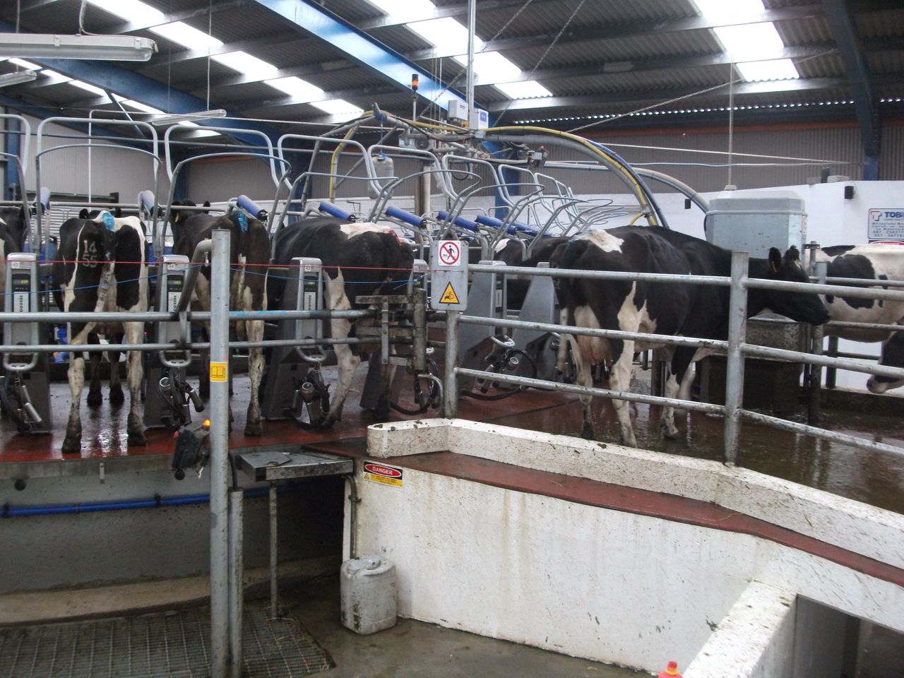 Call for co-ops to pay 48c/L base milk price for August supplies
