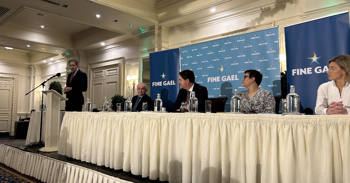 Tánaiste: Environmental regulations have 'gone far too complex'