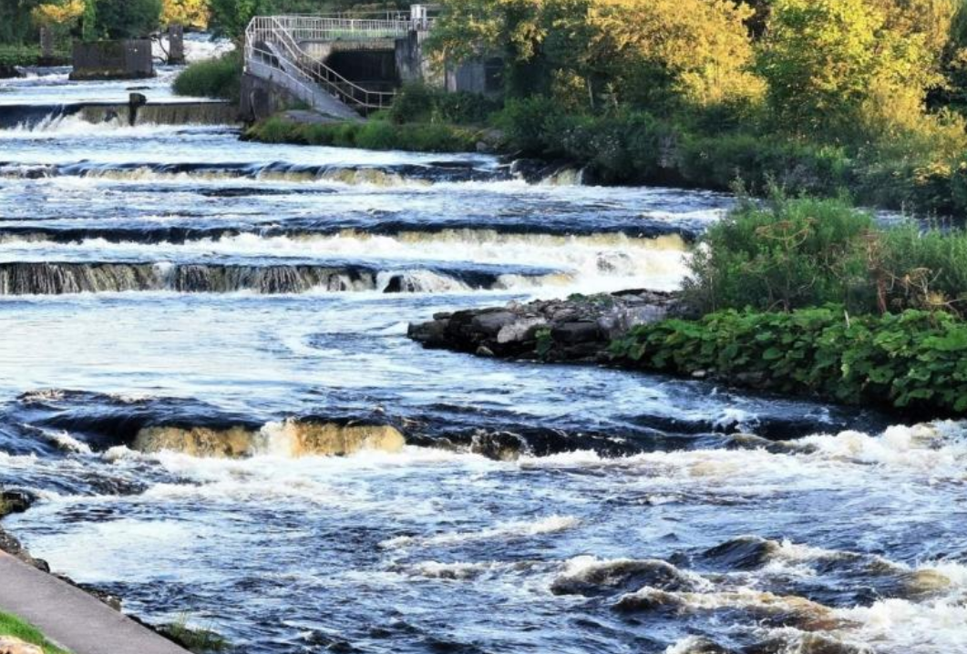 Investigation into death of 850 wild salmon in Sligo river