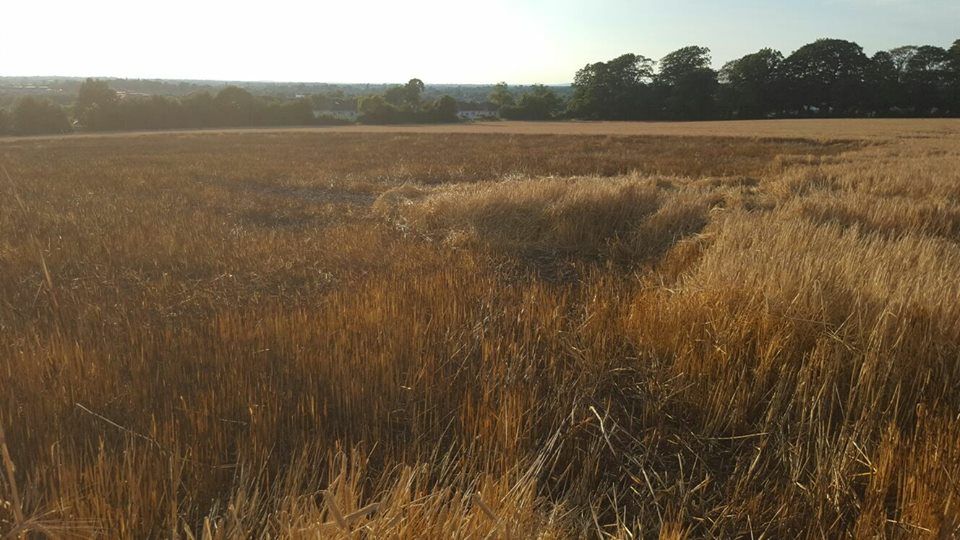 Farmer's barley crop partially damaged in 'suspicious' field fire