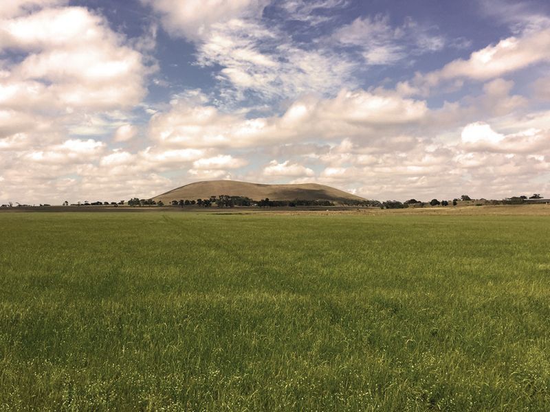 600ha Oz farm sells for a reported $200 million