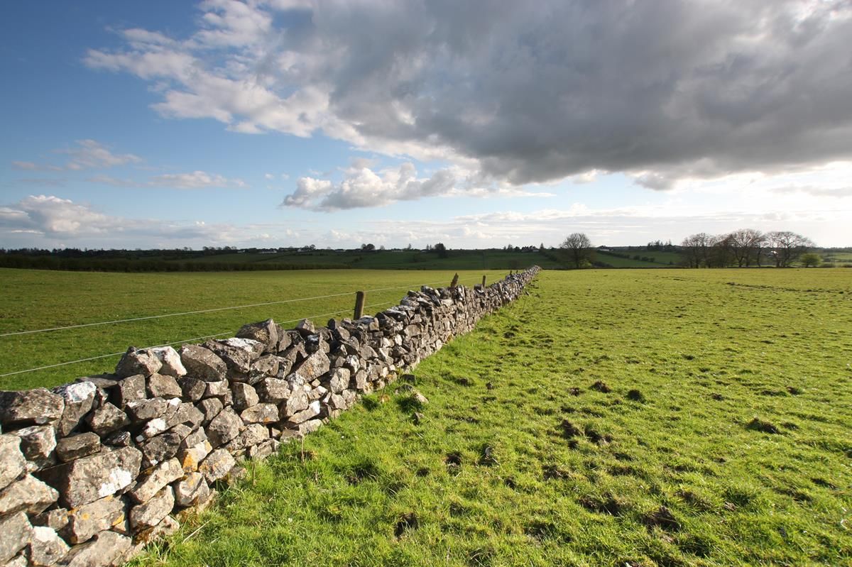 'Farmer confidence remains strong': Land prices set to rise in 2021