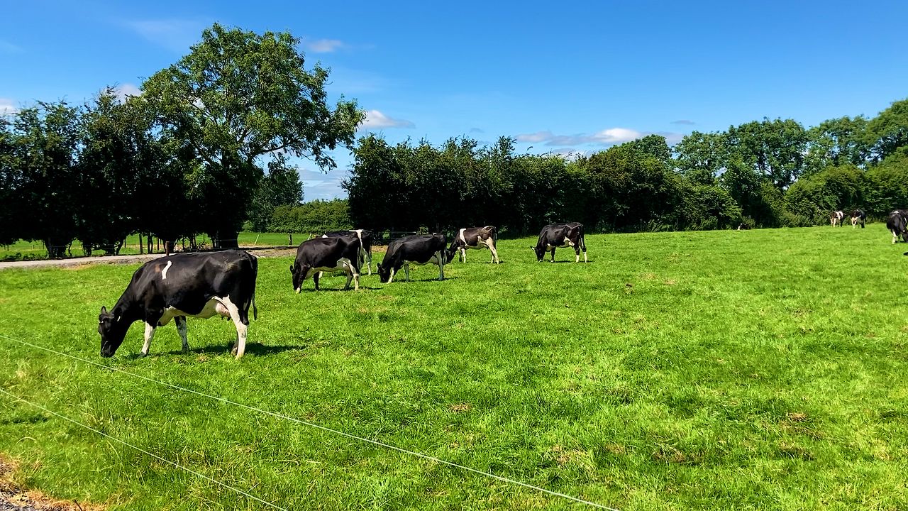 Grass growth: Conditions and growth keeping cows out