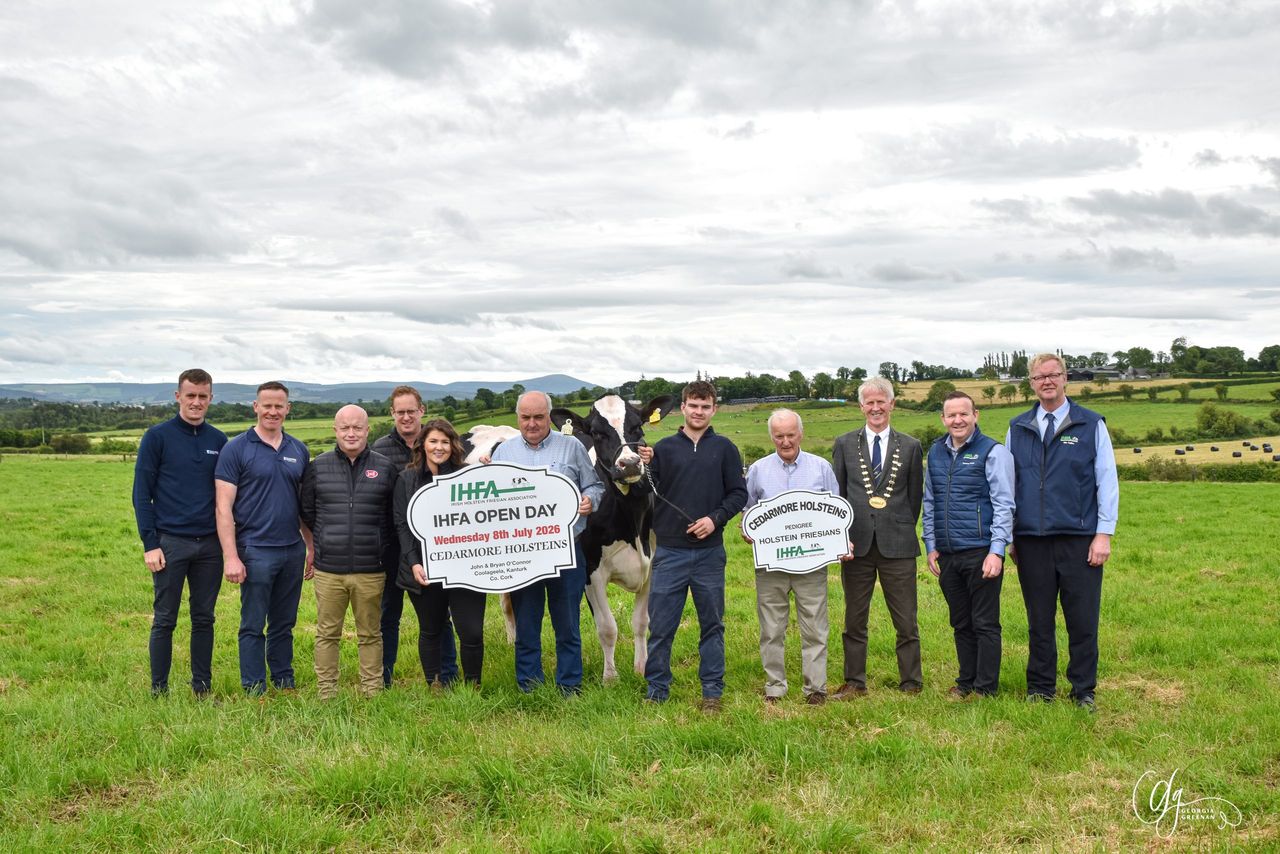 IHFA National Open Day comes to Cedarmore Holsteins