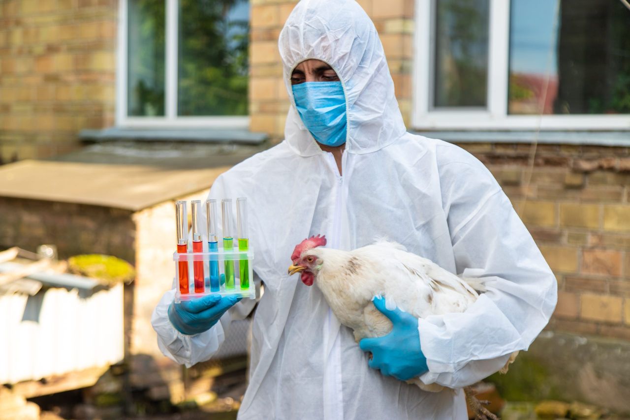 WOAH report: Infectious animal diseases affecting new areas and species