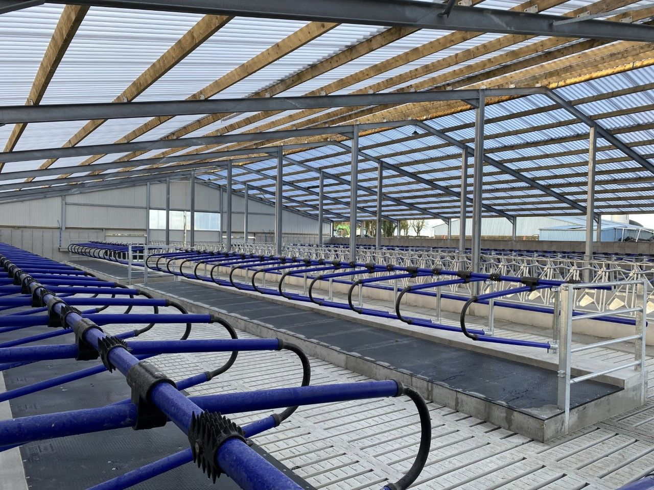 Buildings Focus: 124-cubicle shed in Galway