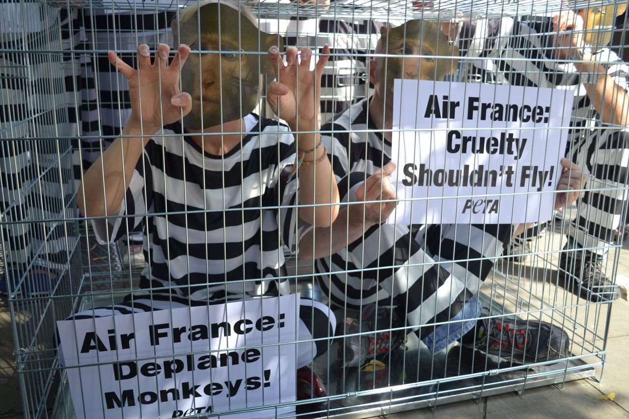 PETA buys Facebook shares in a bid to boost social media visibility