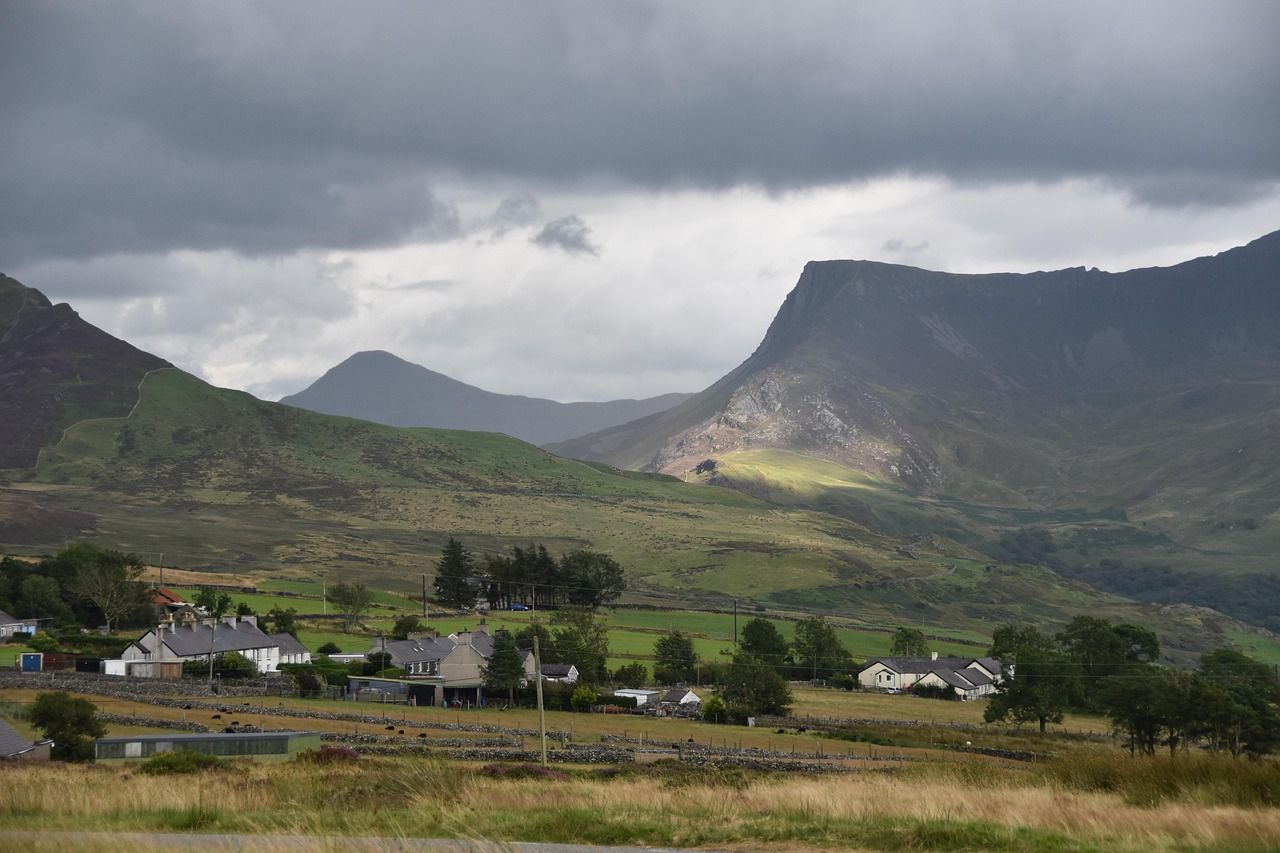 Wales aims to be TB-free by 2041: How is it working to achieve this?