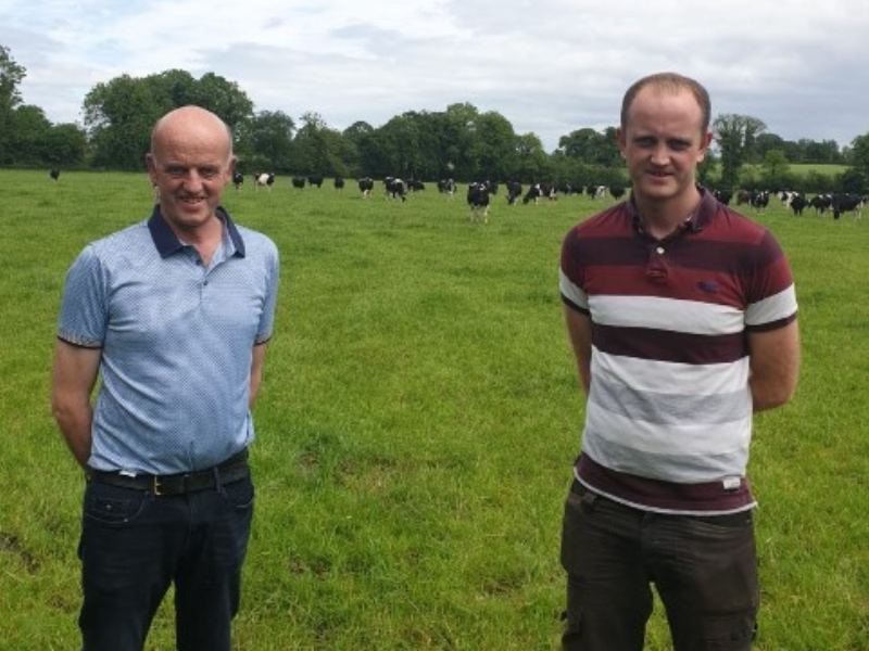 Dairy Beef Index Series: Longford father and son prioritise genetic potential