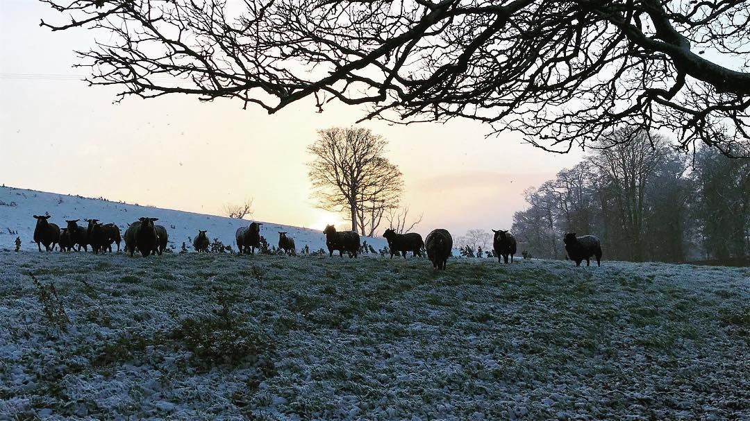 Orange weather alert issued as temperatures to plunge to -6°