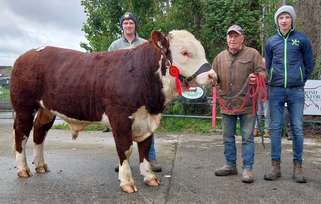 Ballinalick Pluto HH with the Duff family