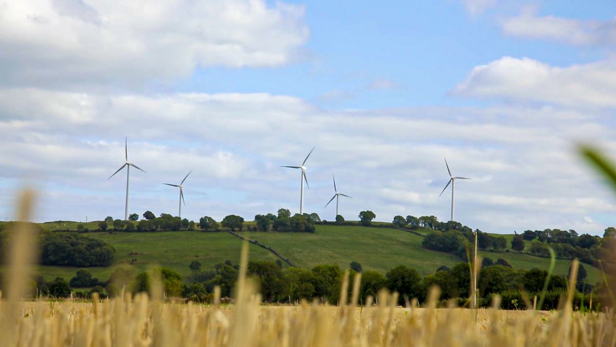 'Growing industry concern' as lost wind energy rises to nearly 11.5% of total production