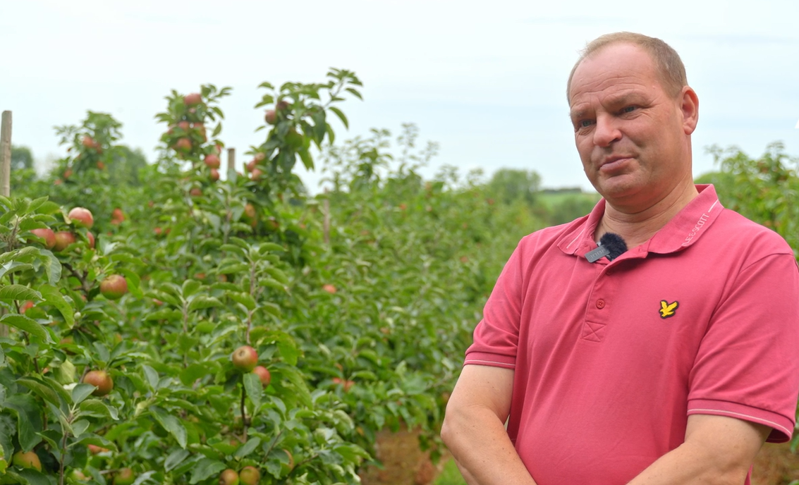Cider and crisps made in Cahir: the juice is worth the squeeze at Con's apple farm