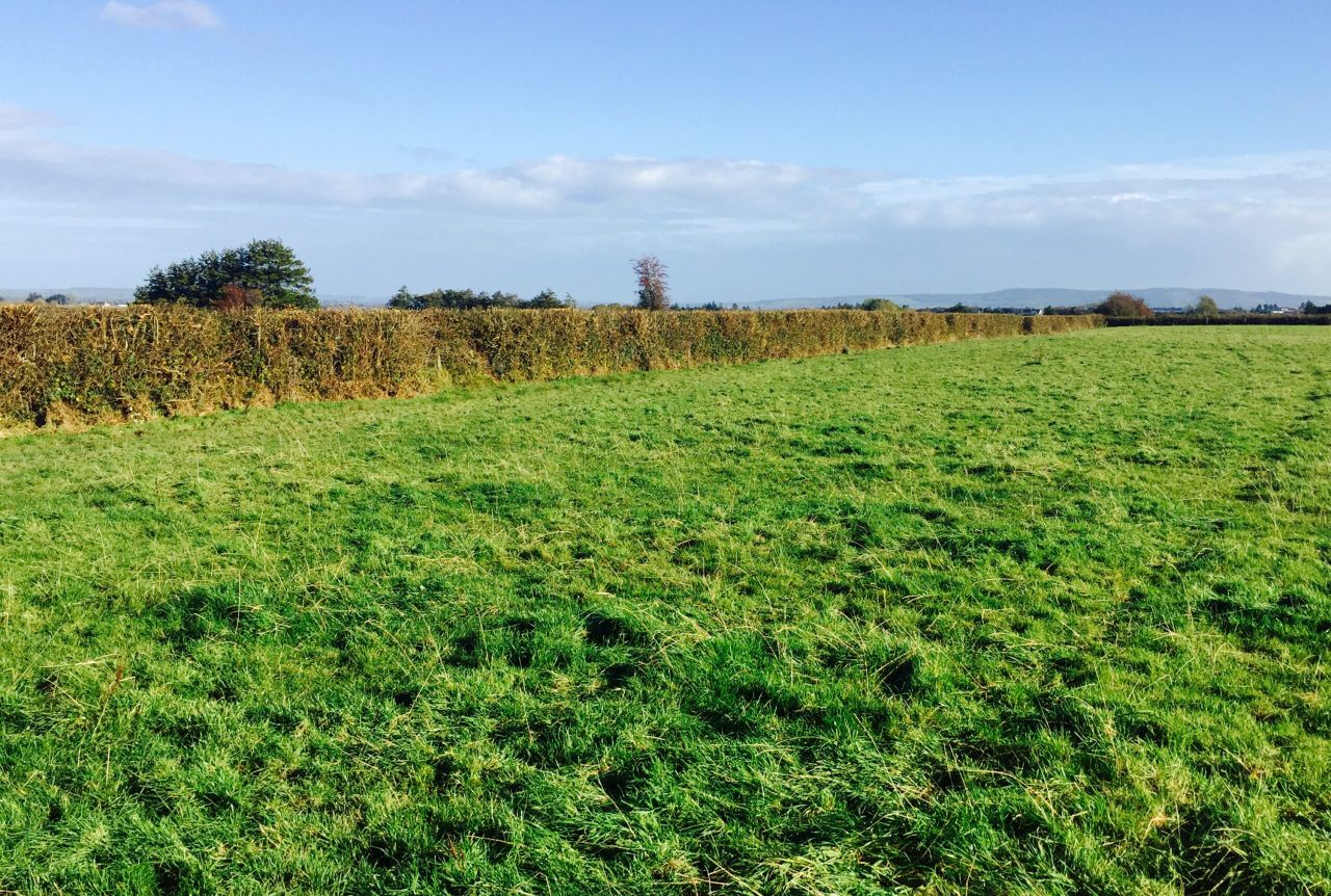 A mild and generally dry weekend in store