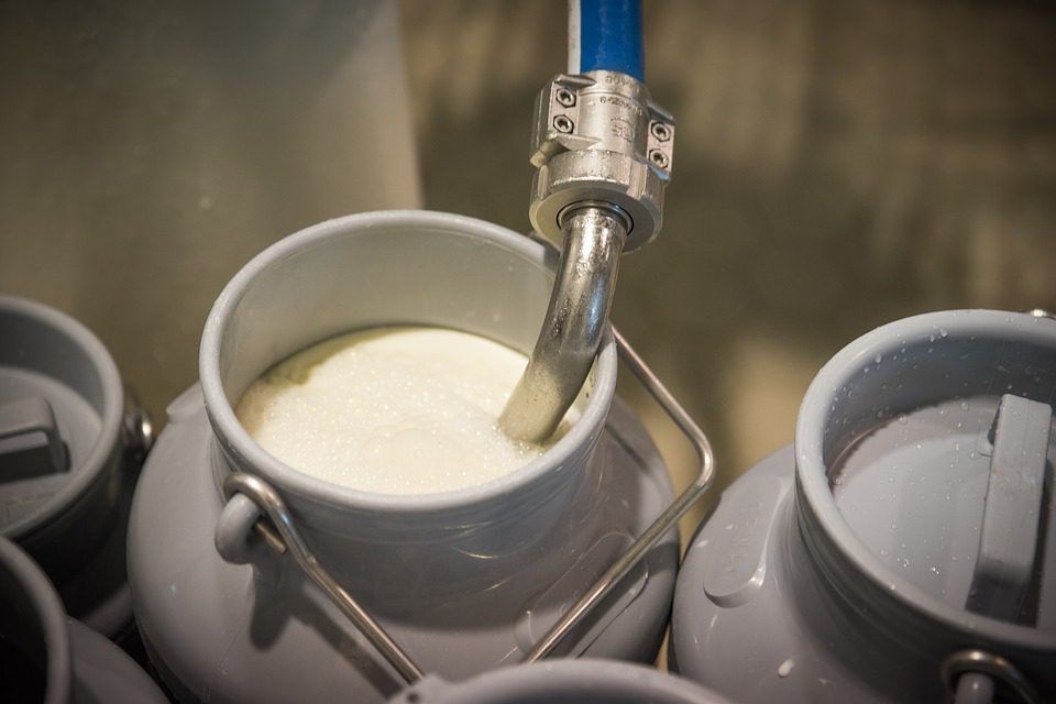 Domestic milk intake behind 2021 levels