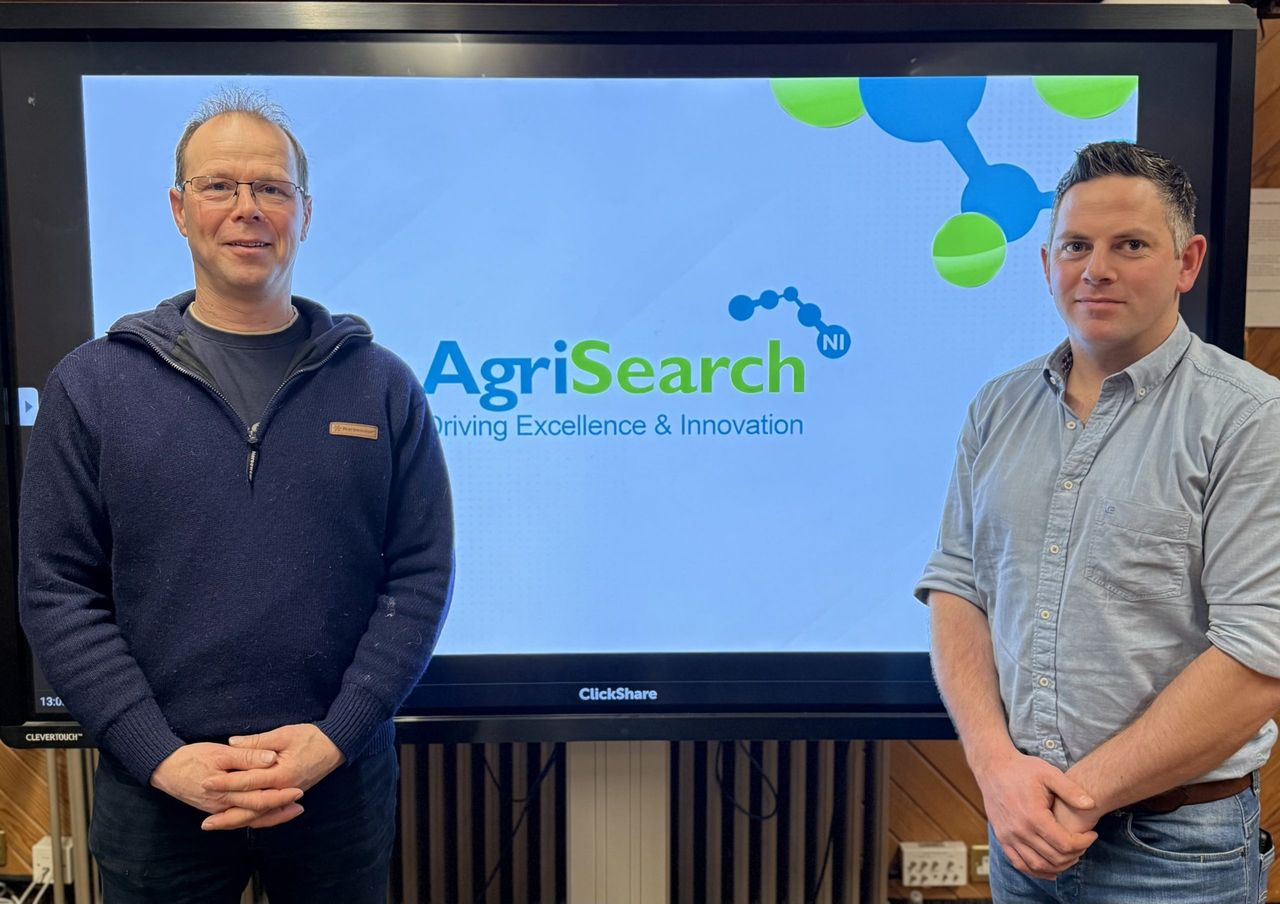 AgriSearch appoints new chair and vice chair for sheep committee