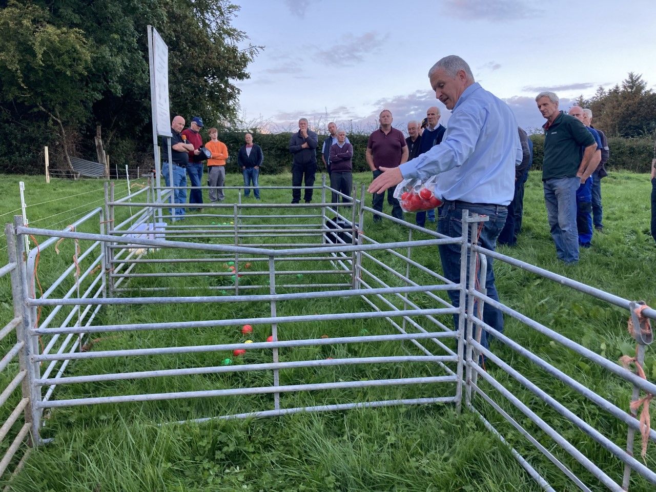 Only dose ewes for worms if there is a need - Teagasc