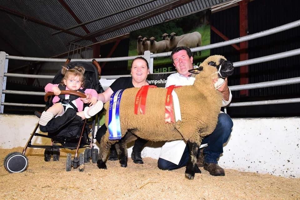 Record prices achieved at the Hampshire Down premier sale in Tullow