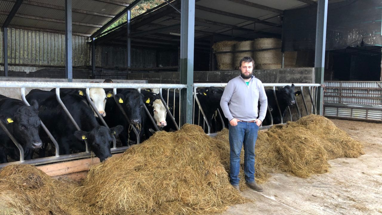 Calf match-making service a 'big win' for Meath beef farm