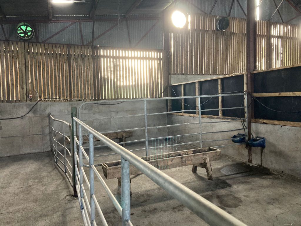 Preparations are currently being made on the ABP Demo Farm for the arrival of the 2024-born calves
