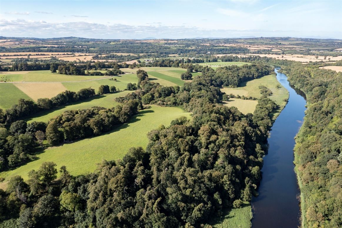 Tenders sought for Brú na Bóinne National Park biodiversity study