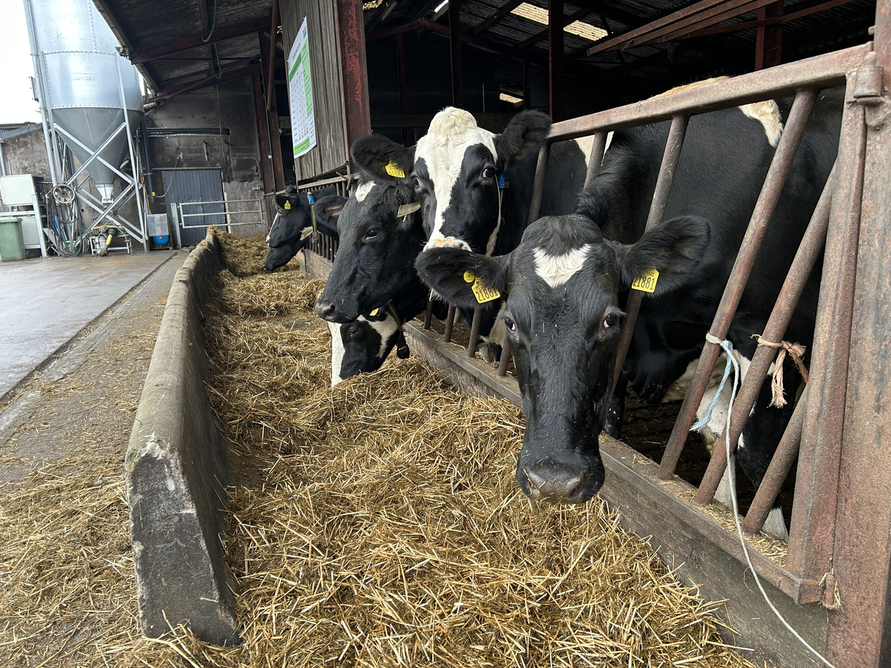 Winter-milk: Know your cost of production