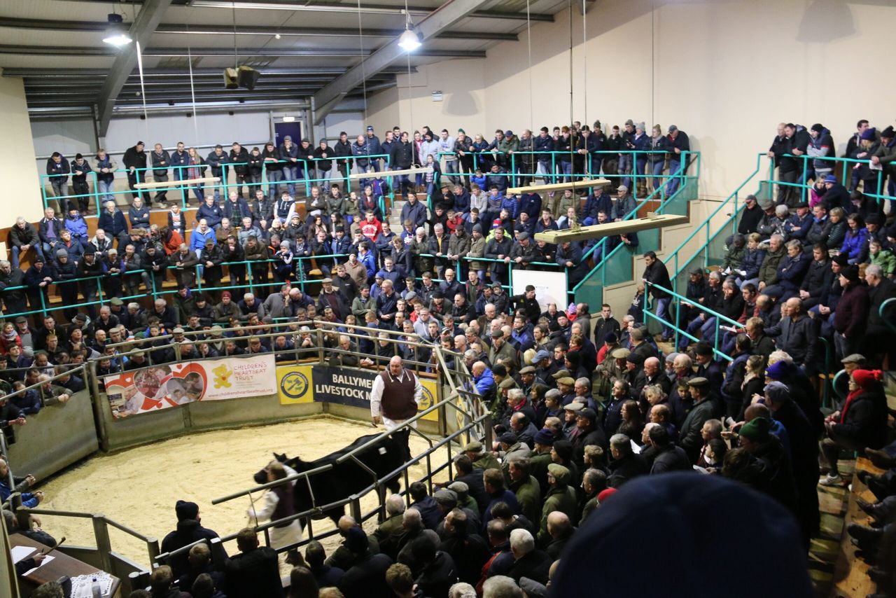 Charity livestock auctions reach just shy of £100,000 target