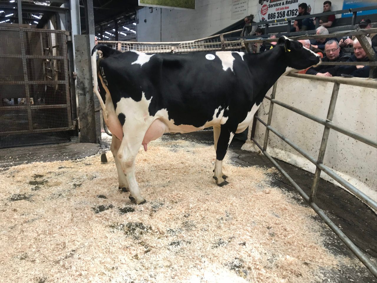Prices reach 3,900gns at Boliesgreat dairy sale