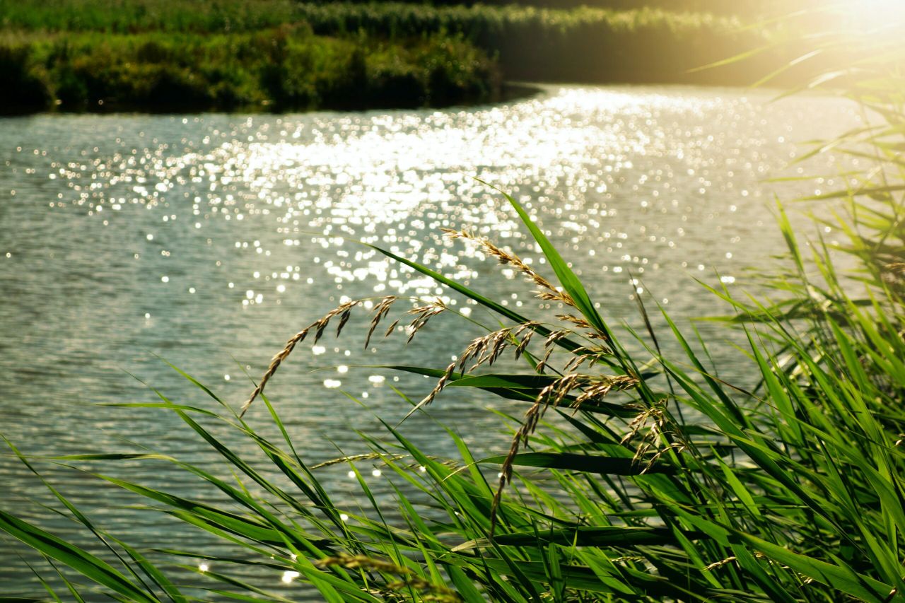 Review of local authority farmer penalties for water pollution
