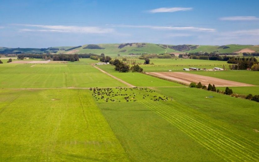 See pictures of a massive 2,900 acre New Zealand farm that's for sale
