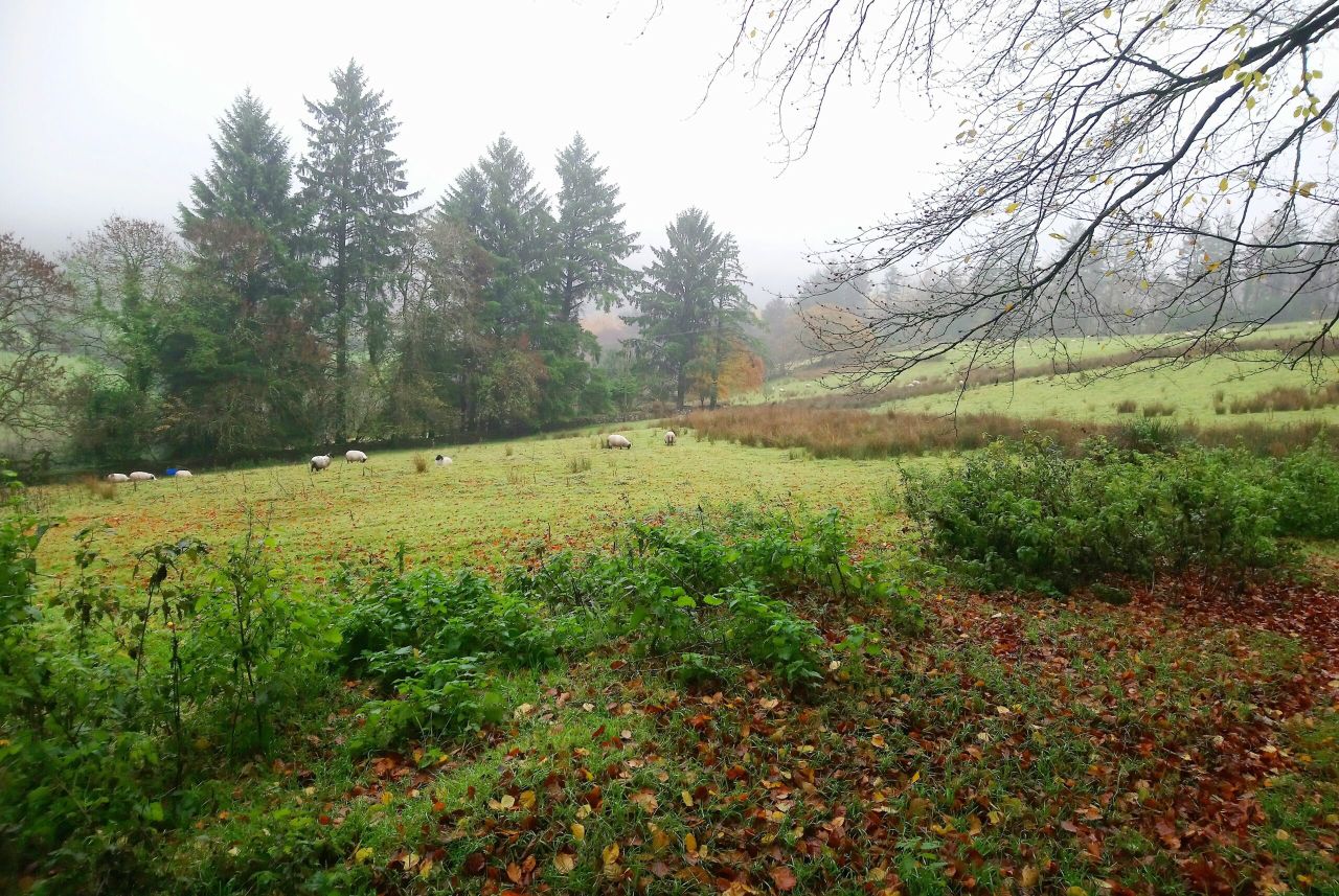 Co. Cork property boasts 'a generous site with superb mountain views'