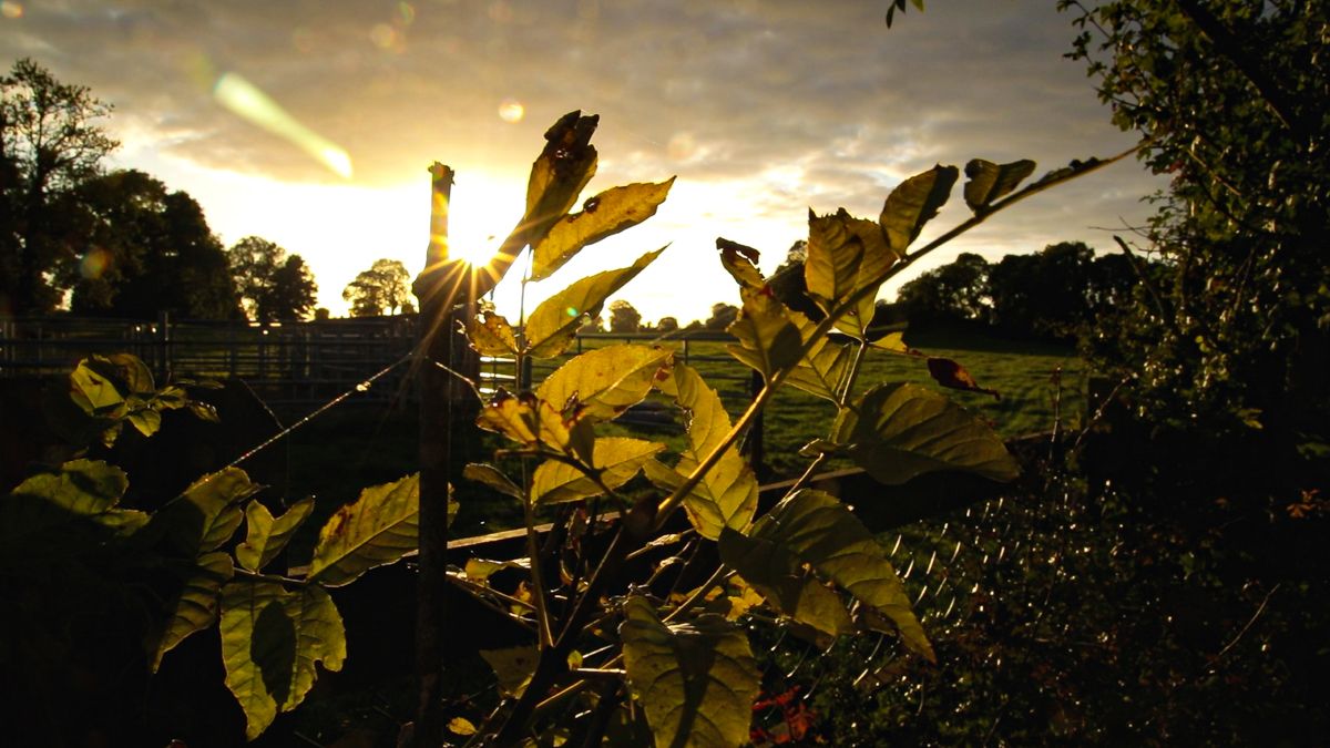 May 2024 was warmest May on record globally
