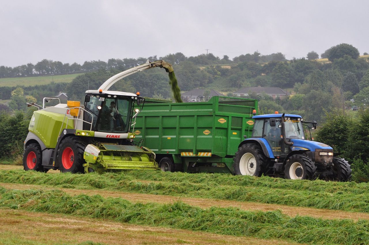 Reminder: The 'Great Grass Event' aims to set new forager world record tomorrow
