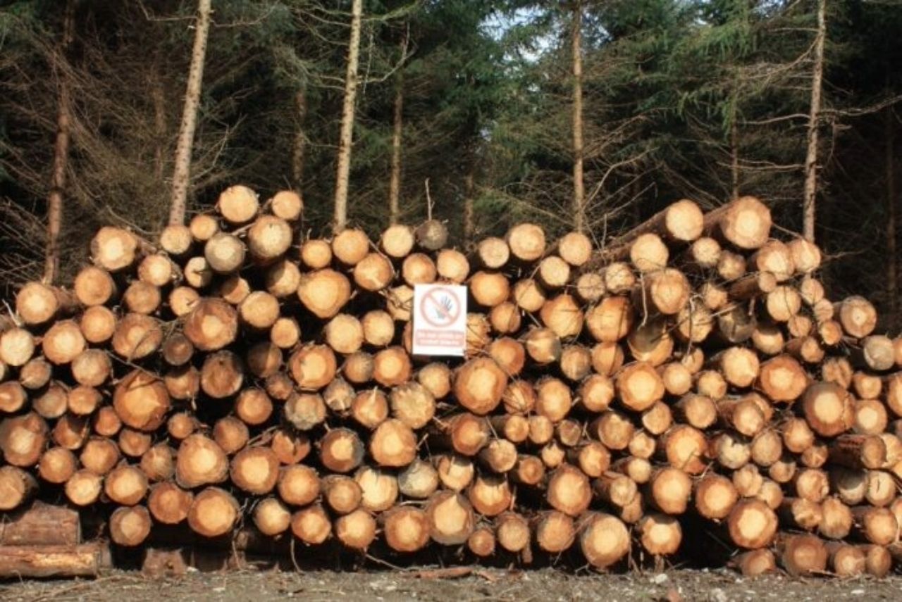 How should harvested timber stacks be estimated?