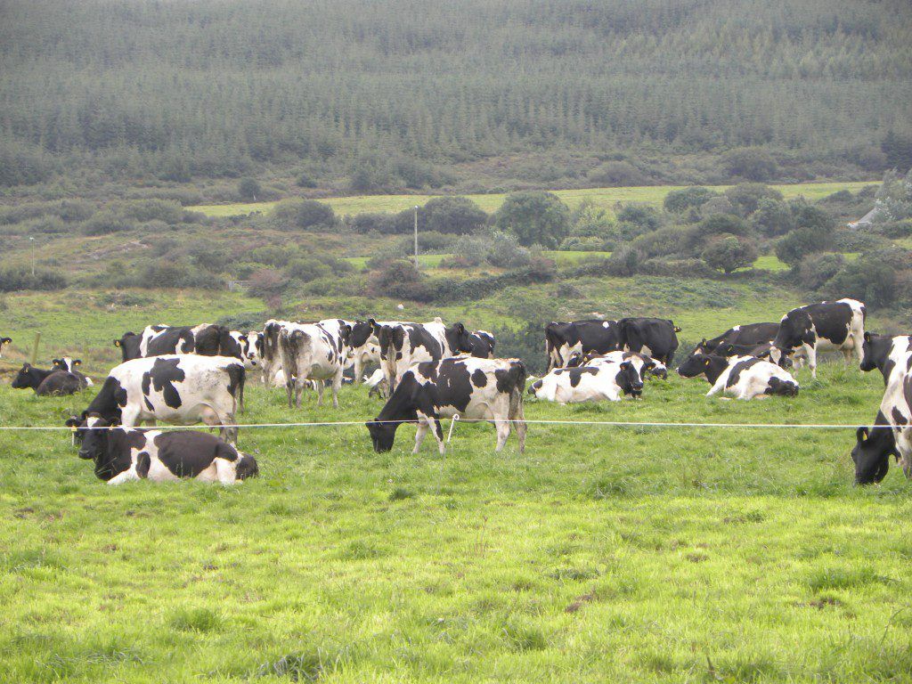 Grass growth: Positive outlook, but grazing remains challenging