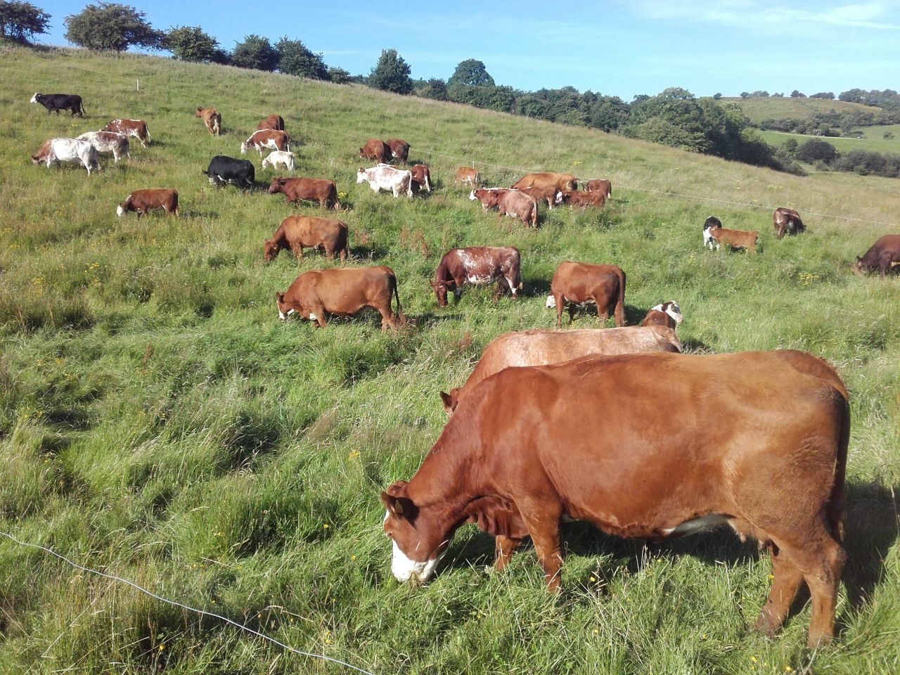 'At 10 I told a silage contractor that I wanted to be an artist'