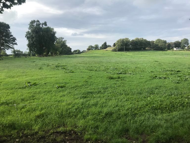 GrowthWatch: Aim to maximise the use of autumn grass