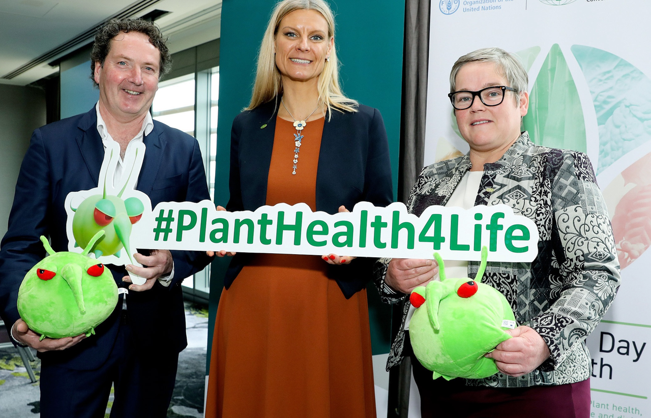 DAFM: Do not import unchecked plants that 'pose a risk'