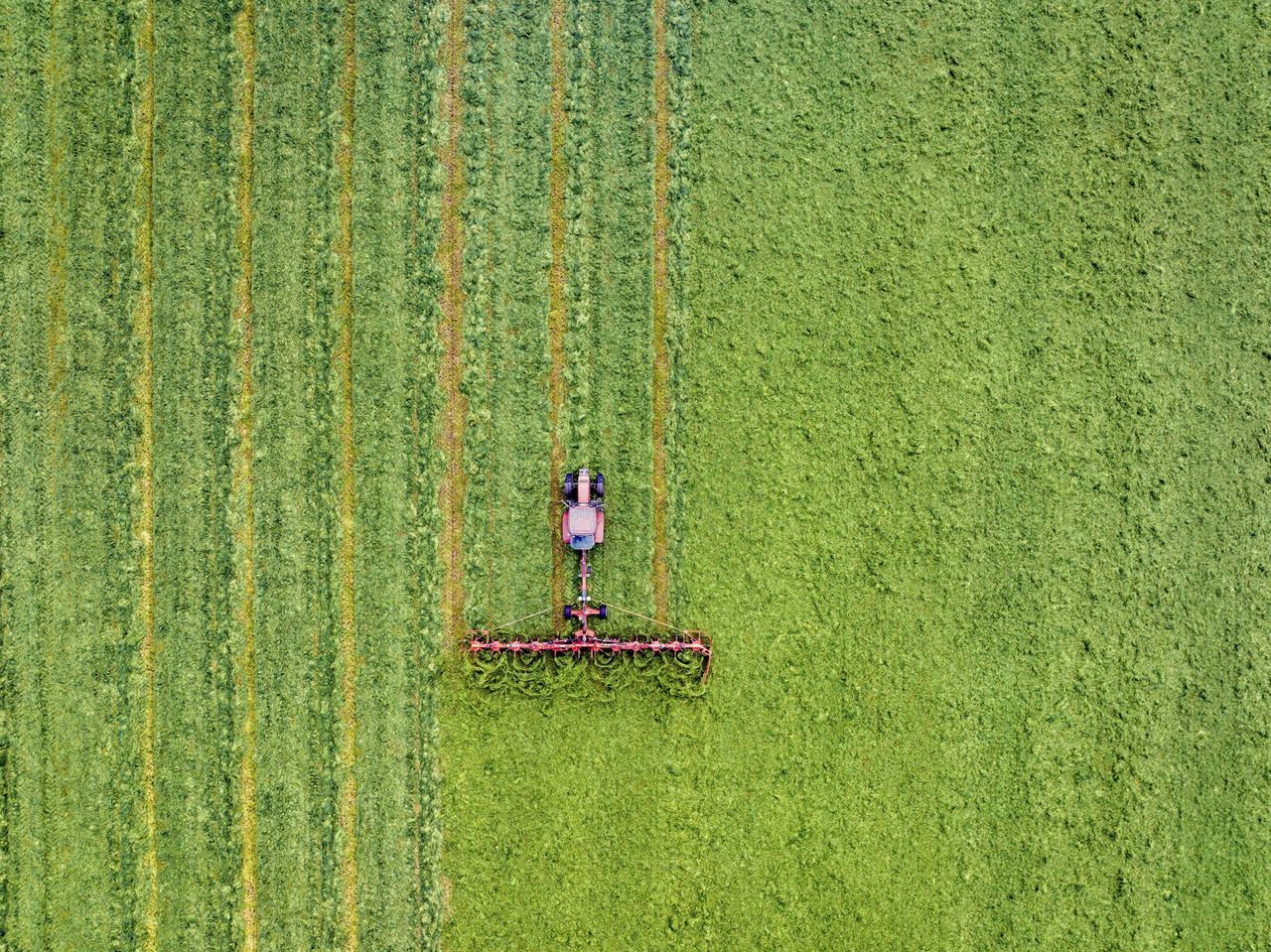 CSO: Fewer people worked in agriculture, forestry, fishing in Q1 2025