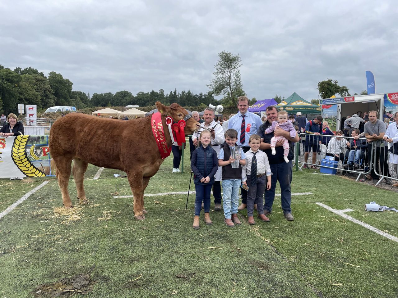 Video: Winners from Virginia Show beef-breed classes