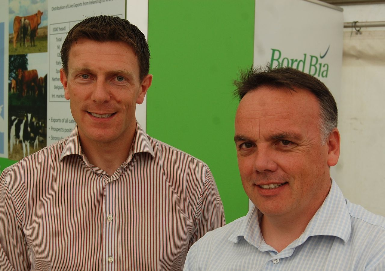 There is light at the end of the beef tunnel - Bord Bia