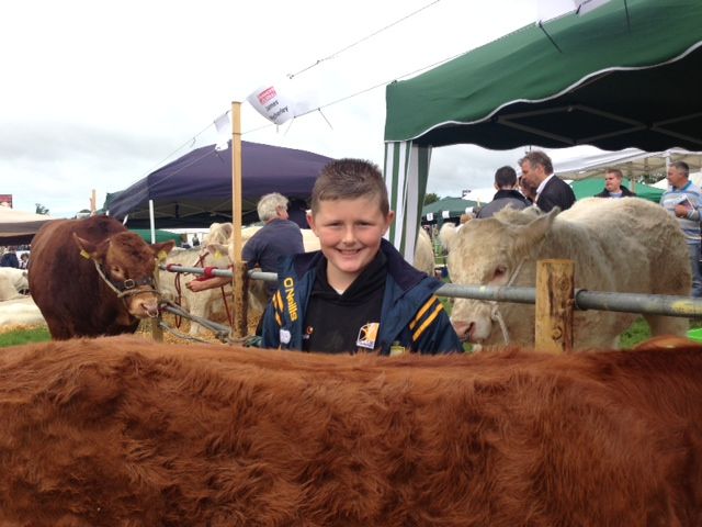 A flavour of livestock