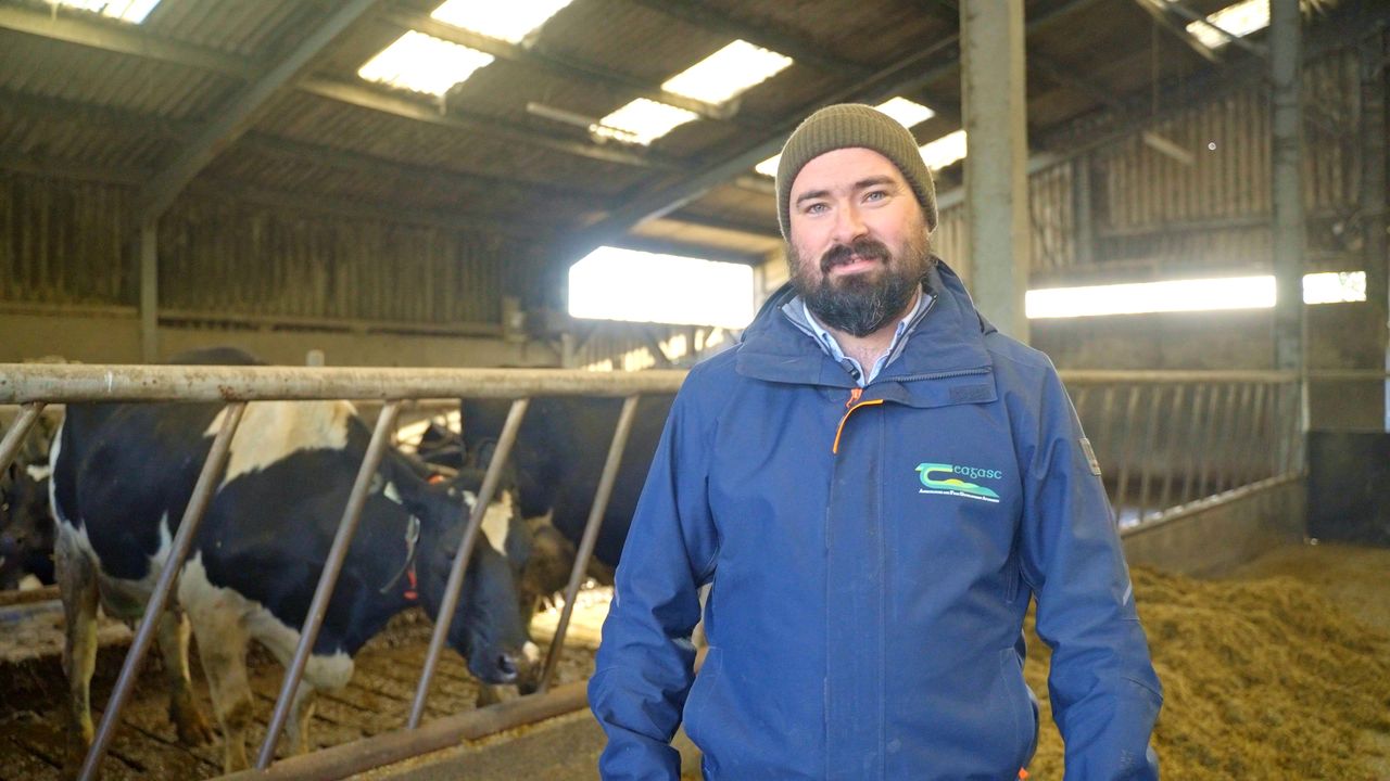 Watch: Top tips for efficient winter breeding