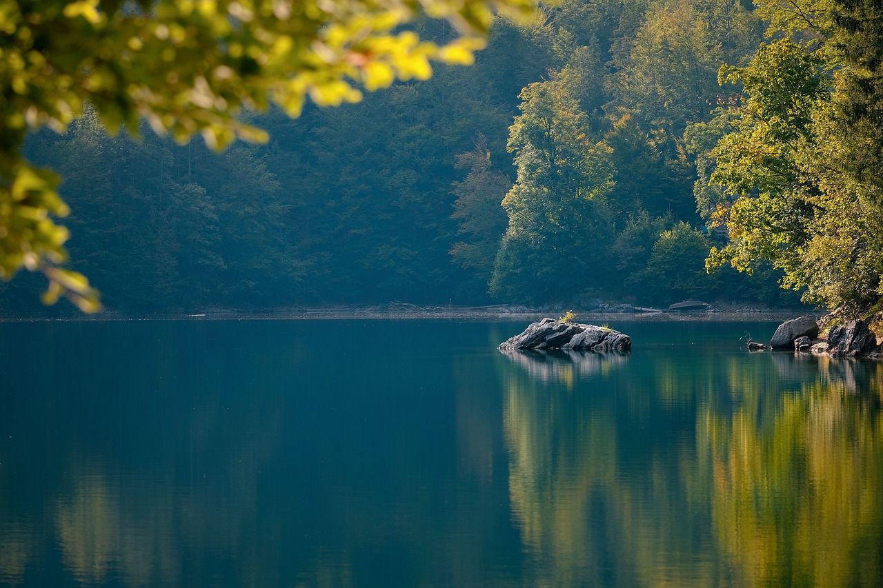 Call for glyphosate ban in EU to protect water quality