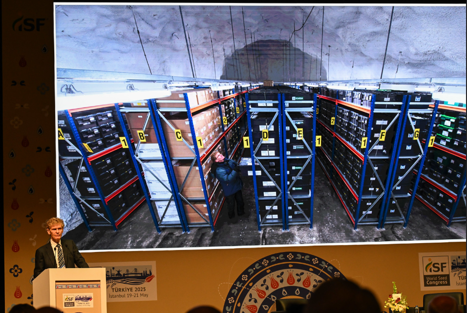 A look inside the World Seed Vault. Source: ISF/Marc Grimwade