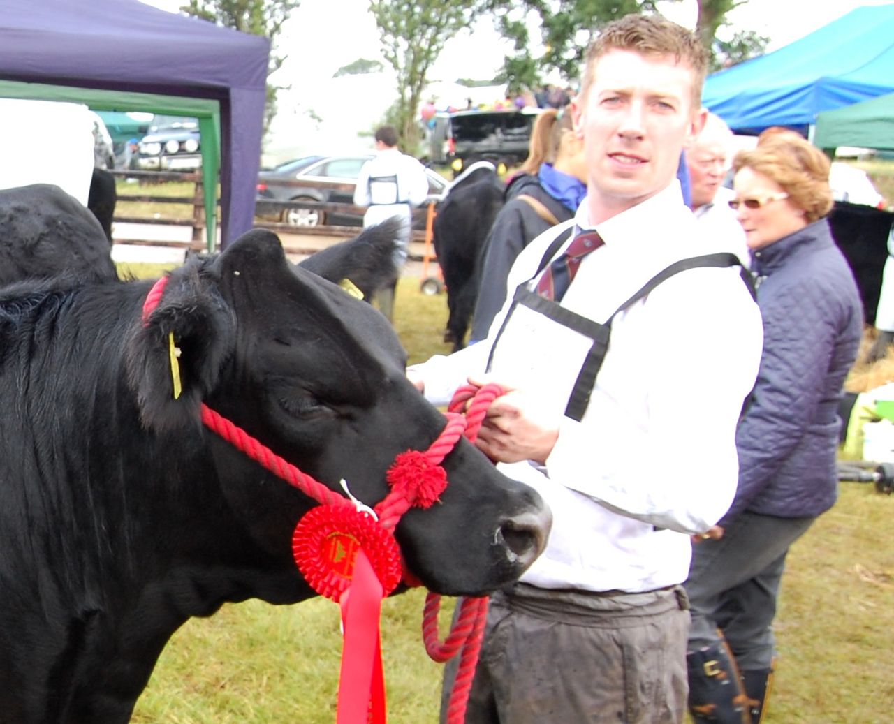 Tullamore Show - Commercial Cattle results