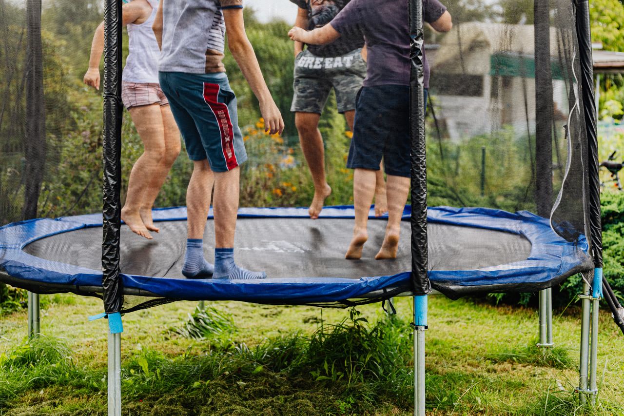 Missing cow discovered...stuck on trampoline