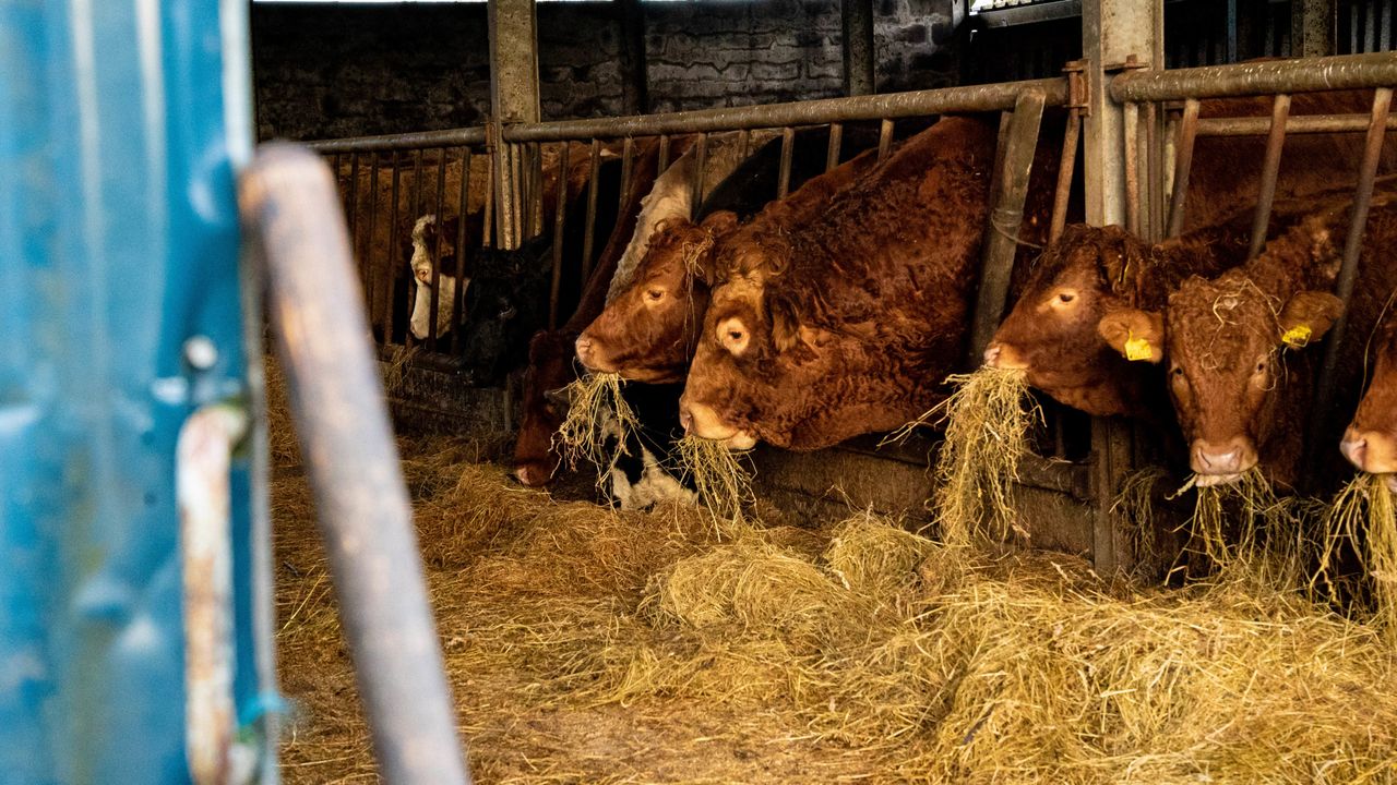 What 'safeguards' will EU-Mercosur trade deal include for farmers?